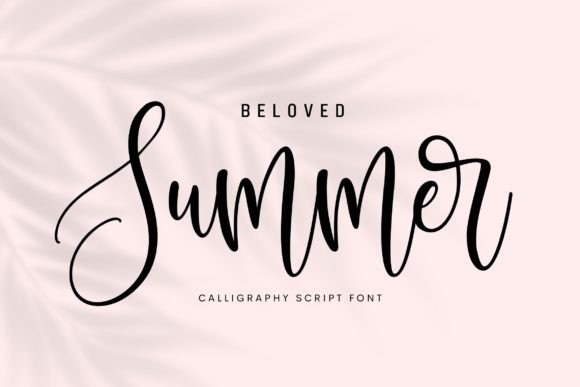Beloved Summer Script Font Review